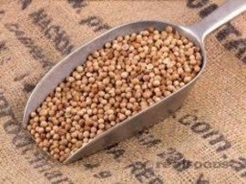 CORIANDER SEEDS WHOLE 1KG