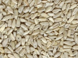 SUNFLOWER KERNELS BY THE KILO - IMPORTED